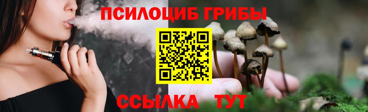 Галлюциногенные грибы Cubensis Кольчугино
